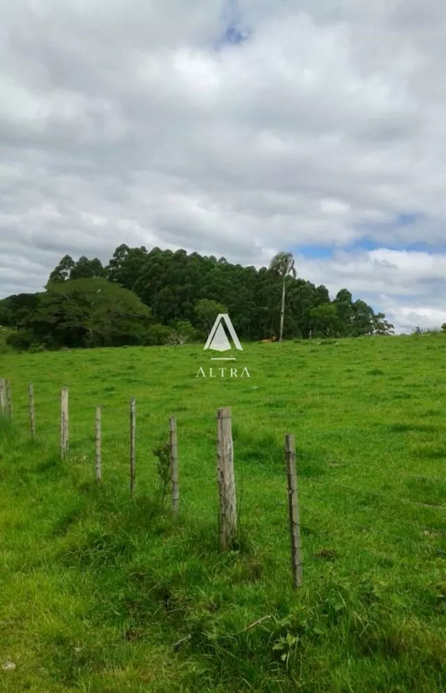Terreno, 10500 hectares - Foto 1