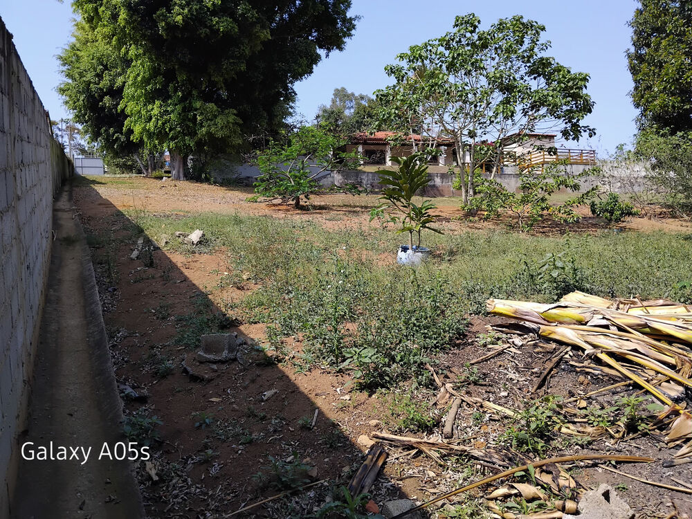 Chácara, 2 quartos, 4836 m² - Foto 8