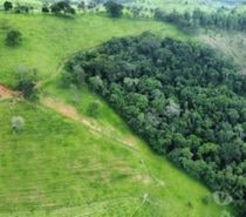 Fazenda, 53 hectares - Foto 3