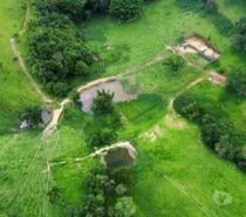 Fazenda, 53 hectares - Foto 5