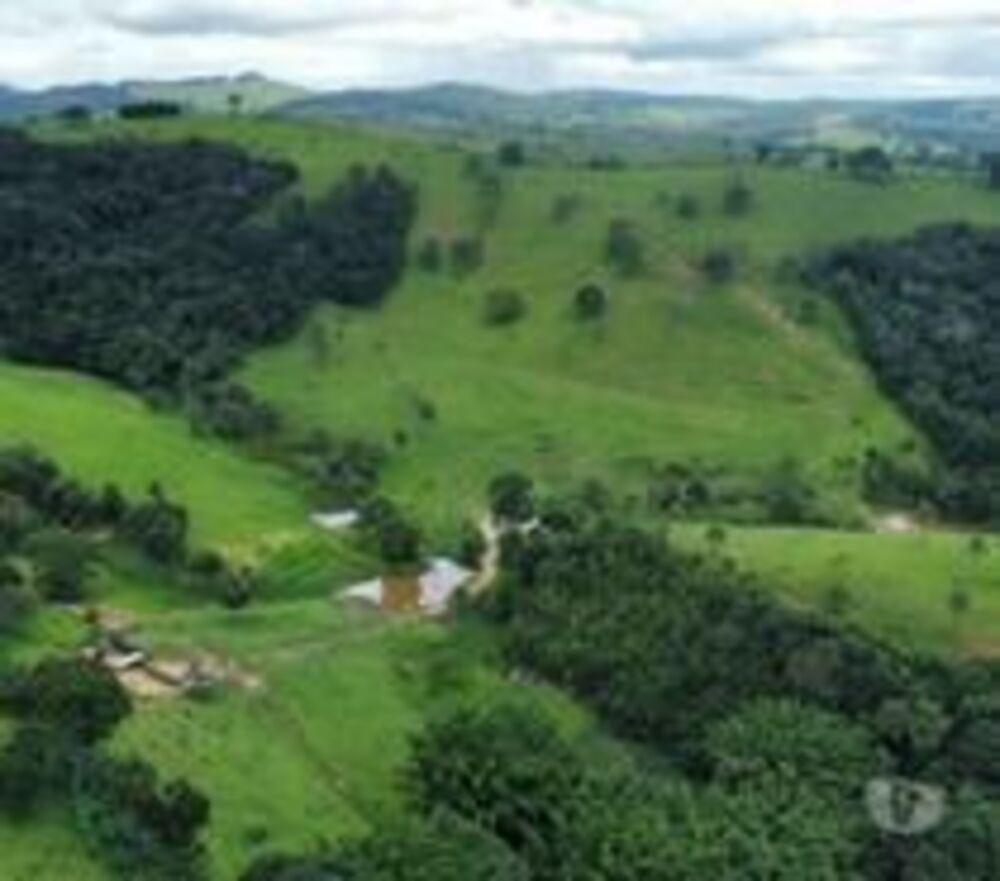 Fazenda, 53 hectares - Foto 1