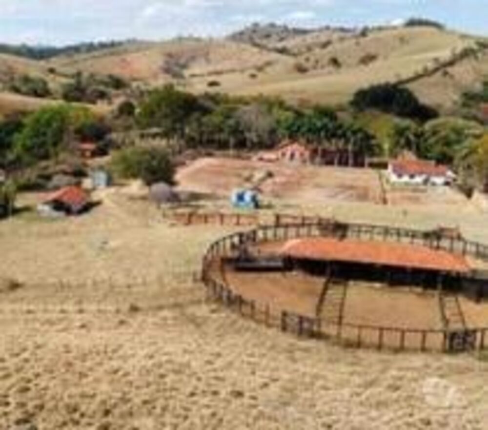 Fazenda, 53 hectares - Foto 7