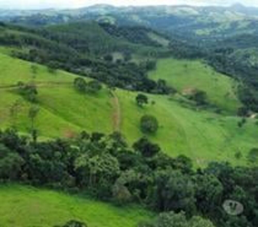 Fazenda, 53 hectares - Foto 2