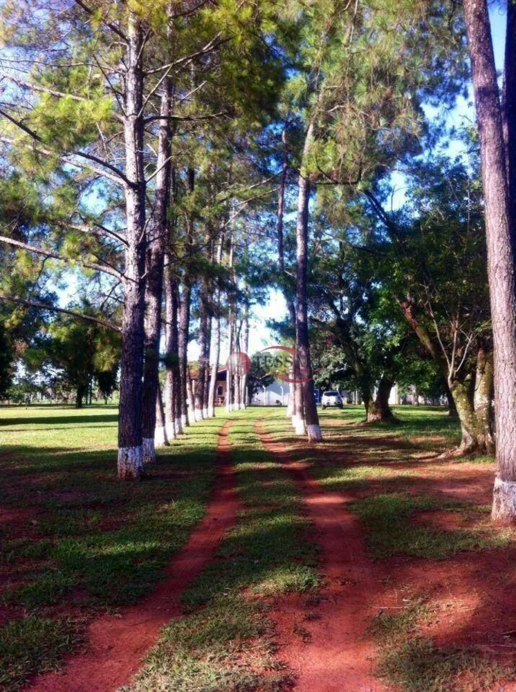 Chácara, 3 quartos, 280 m² - Foto 3