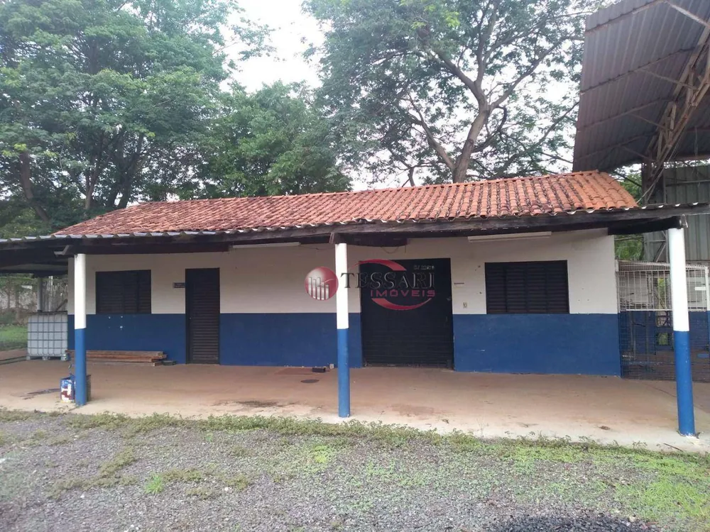 Terreno, 2 hectares - Foto 4