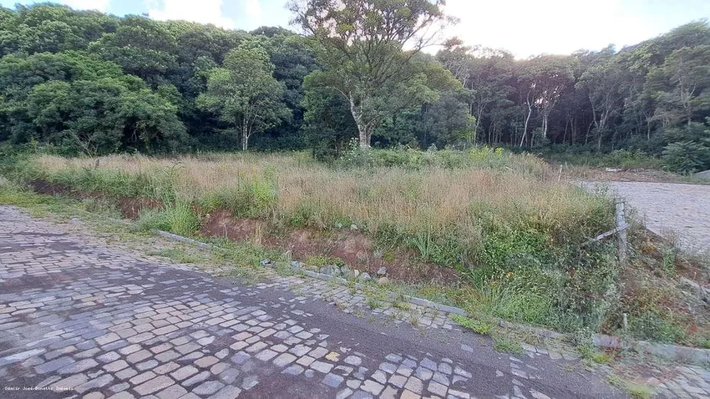 Terreno, 1509 m² - Foto 3