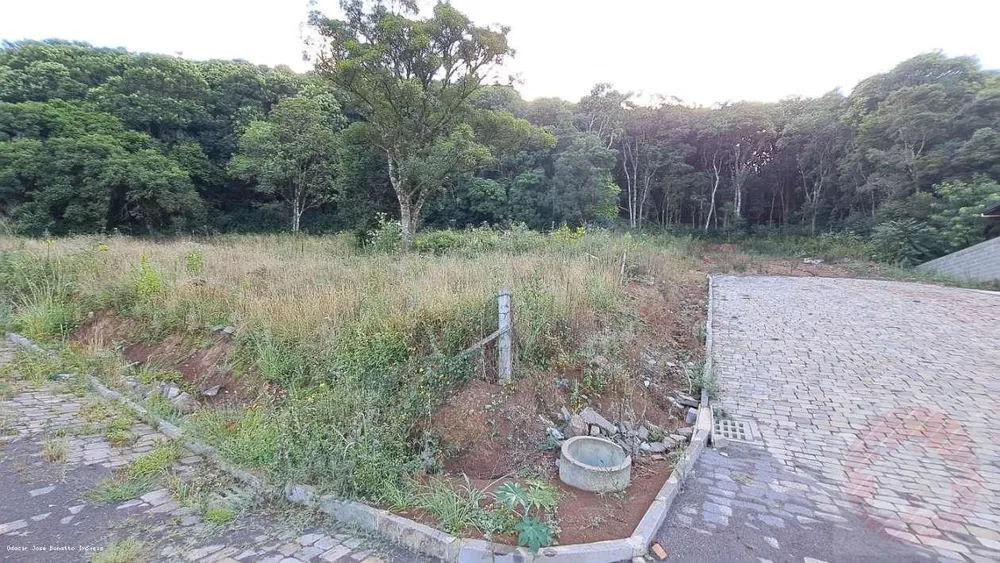 Terreno, 1509 m² - Foto 2