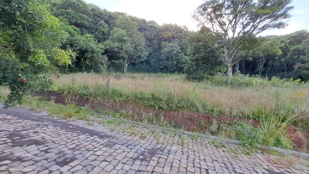 Terreno, 1509 m² - Foto 1