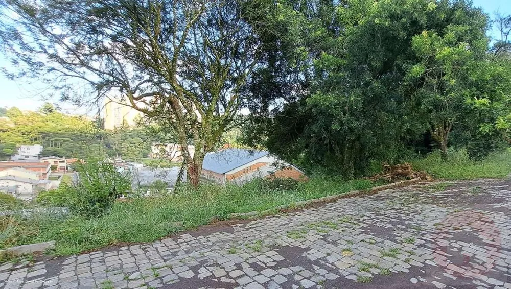 Terreno, 395 m² - Foto 4