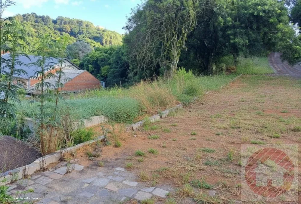 Terreno, 403 m² - Foto 5