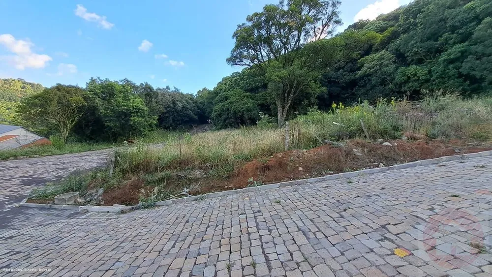 Terreno, 374 m² - Foto 4