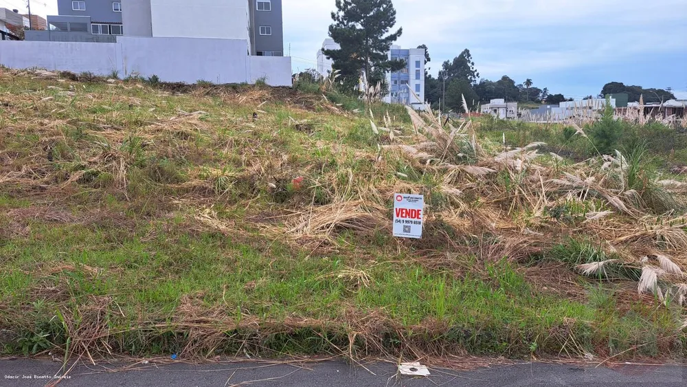 Terreno, 372 m² - Foto 3