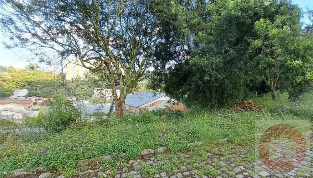 Terreno, 406 m² - Foto 5