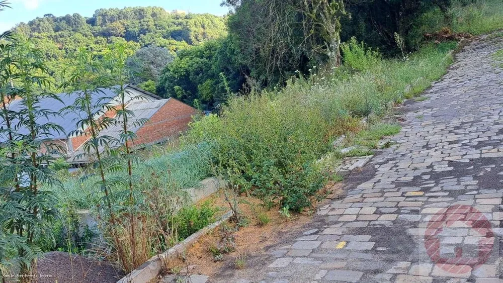 Terreno, 406 m² - Foto 2