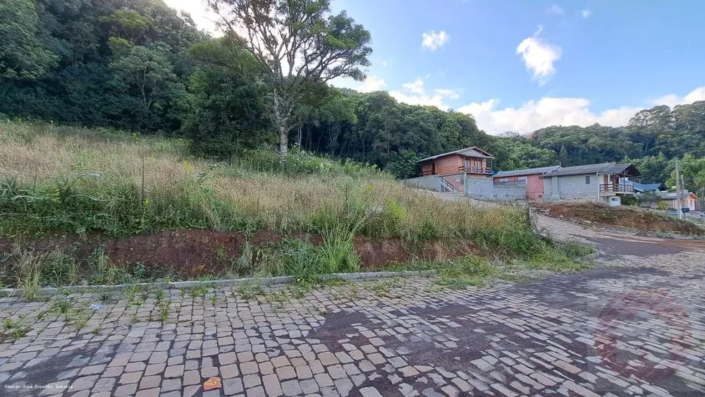 Terreno, 374 m² - Foto 3