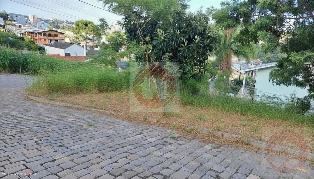 Terreno, 2422 m² - Foto 4