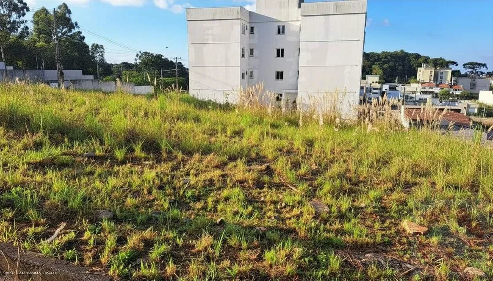 Terreno, 360 m² - Foto 5