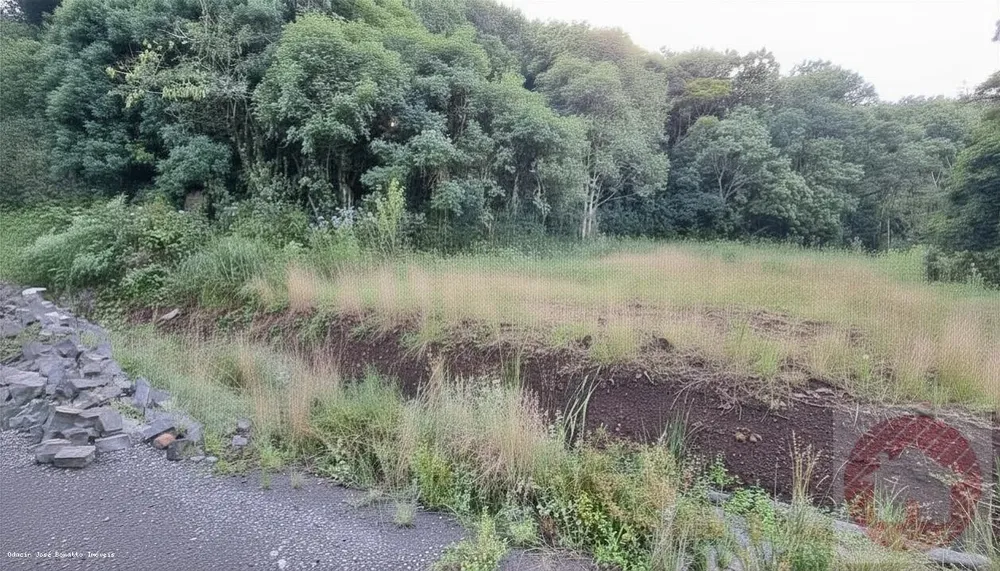 Terreno, 385 m² - Foto 4