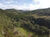 Sítio, 22 hectares - Foto 3