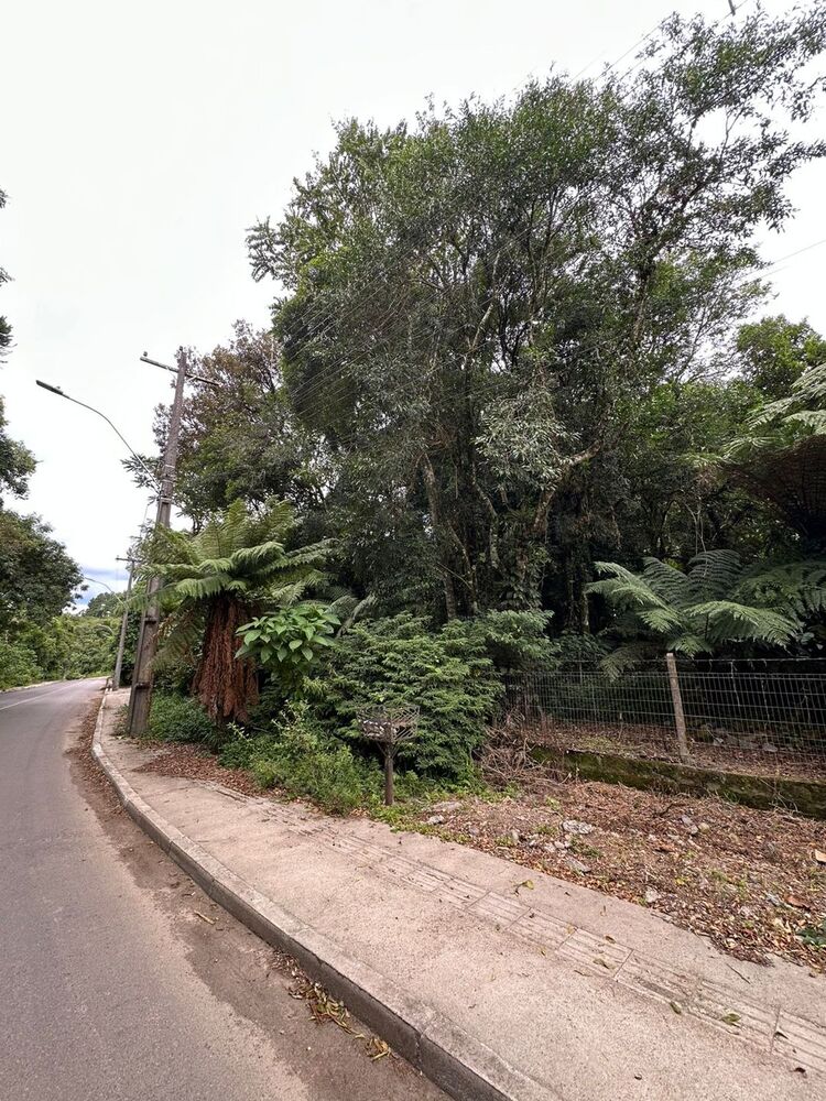 Terreno, 904 m² - Foto 4