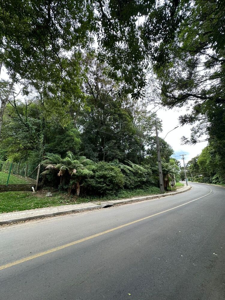 Terreno, 904 m² - Foto 3