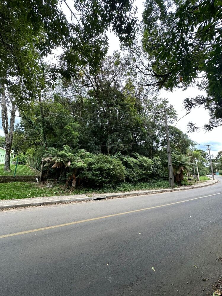 Terreno, 904 m² - Foto 2