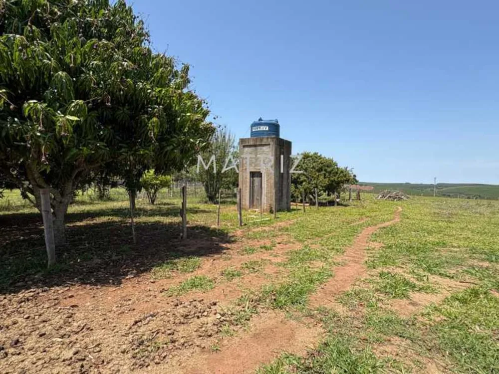 Fazenda - Foto 3