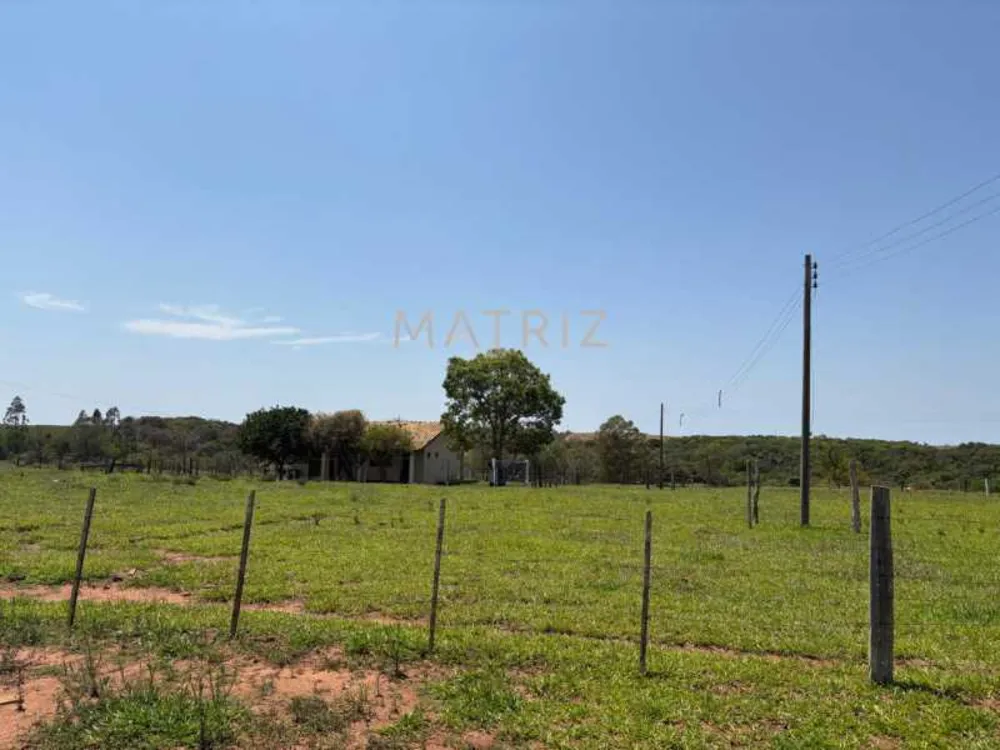 Fazenda - Foto 5