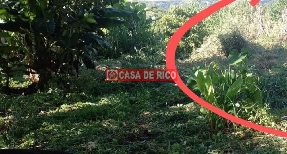 Chácara à venda, 60m² - Foto 2