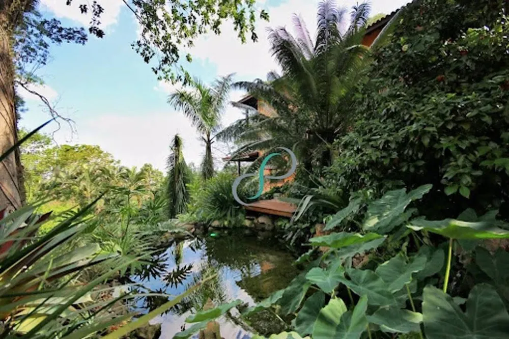 Casa, 4 quartos, 450 m² - Foto 6