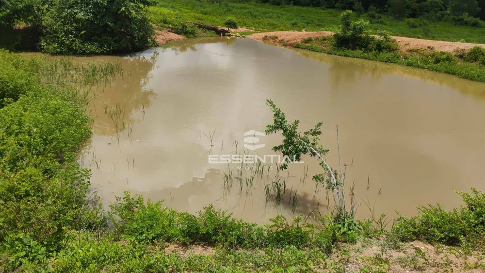 Fazenda, 44 hectares - Foto 10