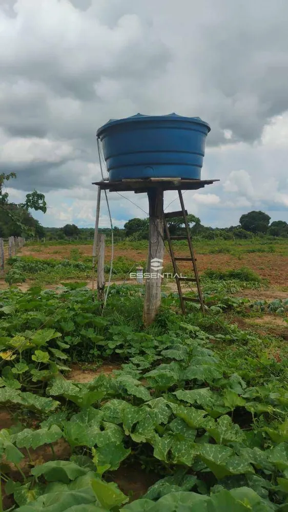 Fazenda, 44 hectares - Foto 9
