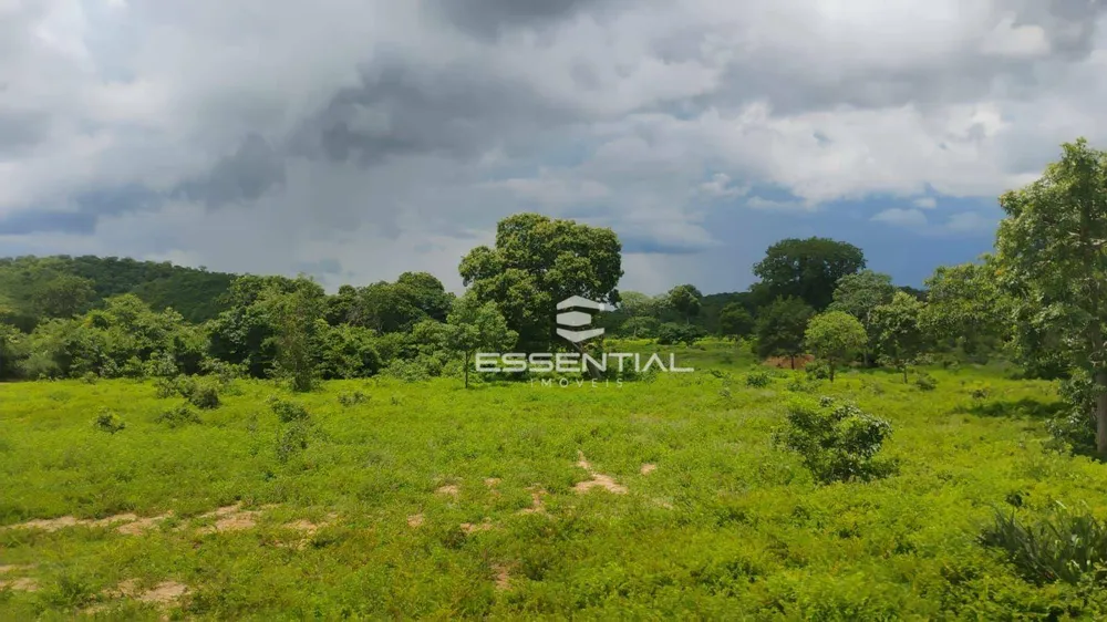 Fazenda, 44 hectares - Foto 2