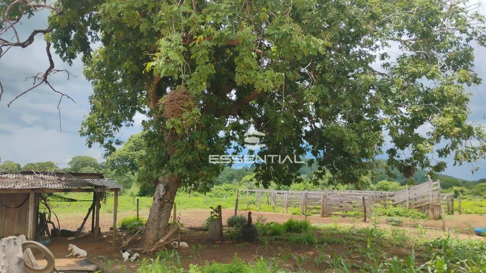 Fazenda, 44 hectares - Foto 1