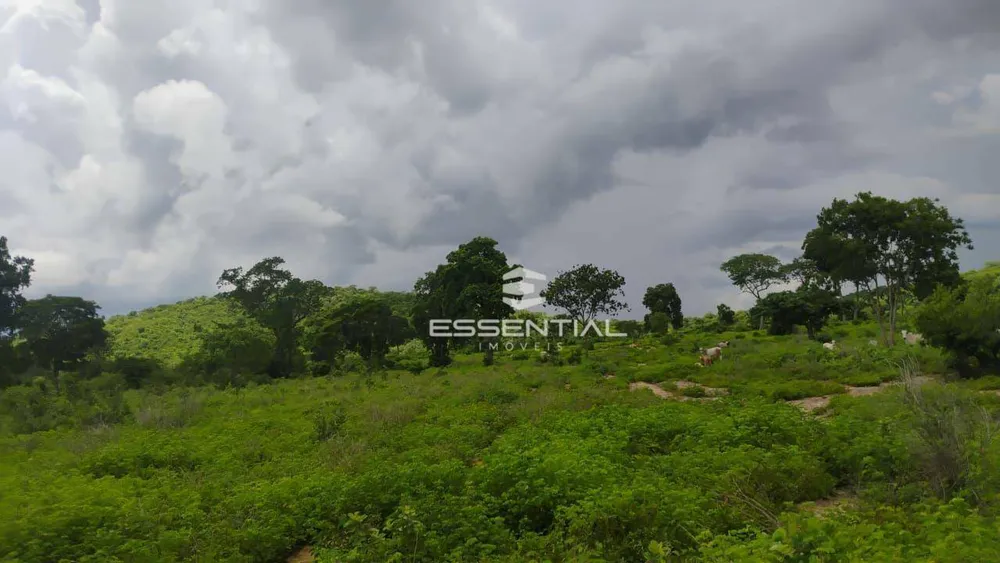 Fazenda, 44 hectares - Foto 11