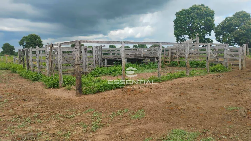Fazenda, 44 hectares - Foto 6