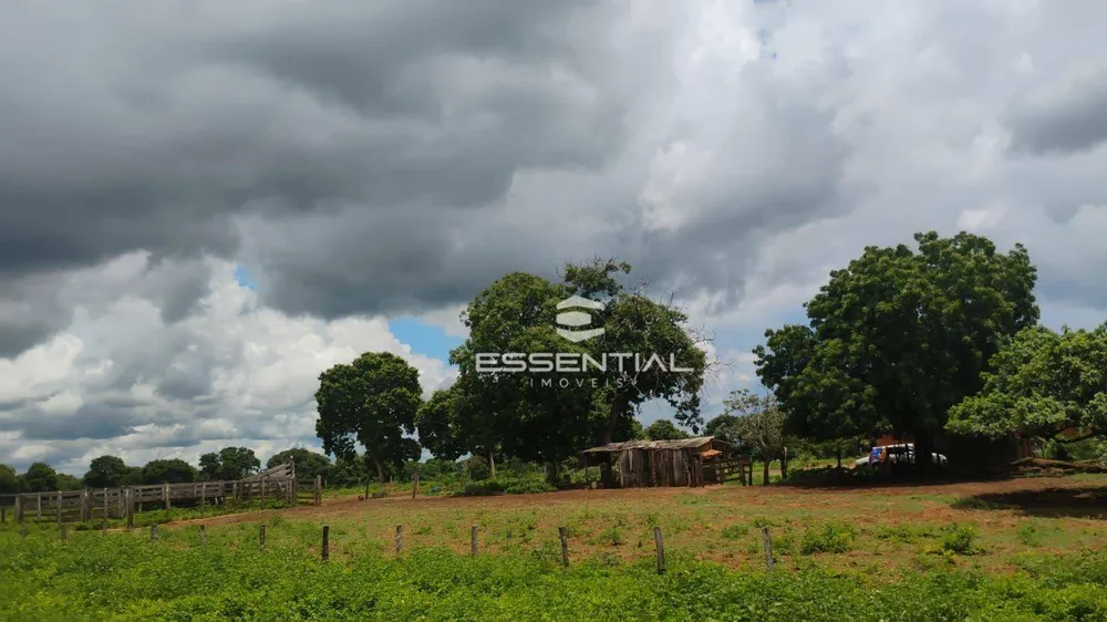Fazenda, 44 hectares - Foto 4