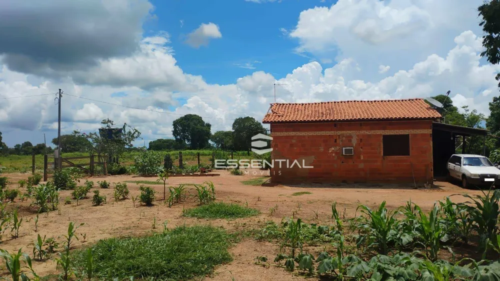 Fazenda, 44 hectares - Foto 7