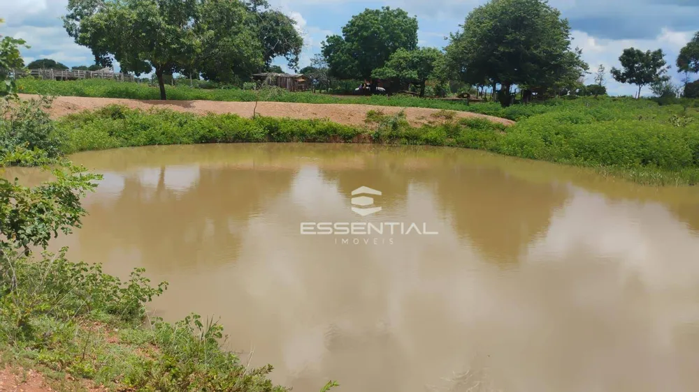 Fazenda, 44 hectares - Foto 8