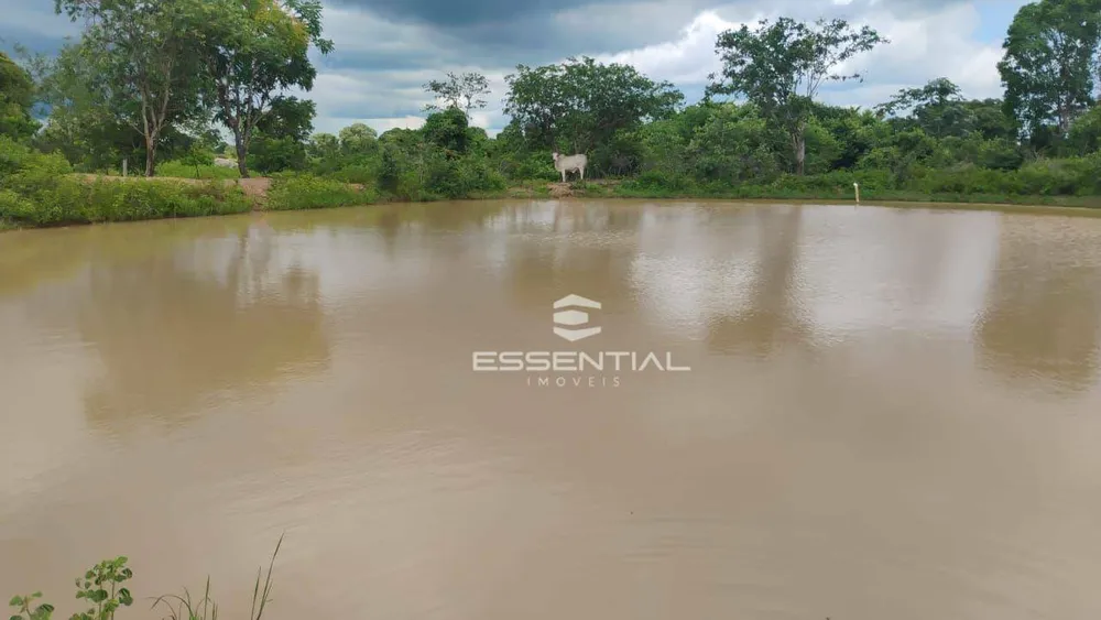 Fazenda, 44 hectares - Foto 12