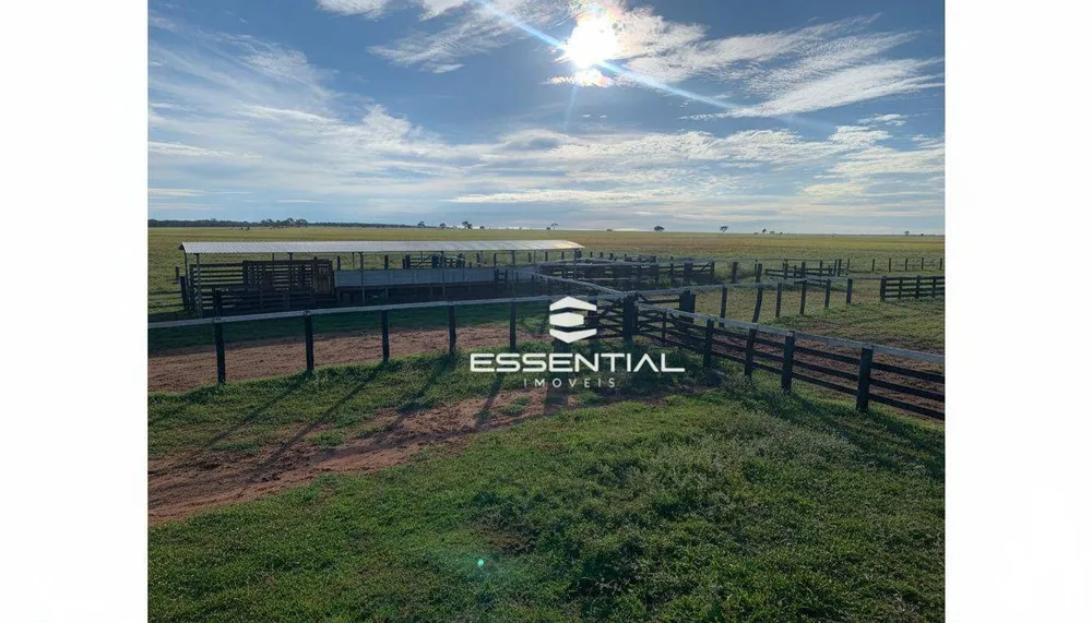 Fazenda, 2580 hectares - Foto 2