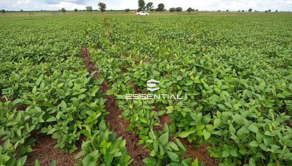 Fazenda, 2580 hectares - Foto 1
