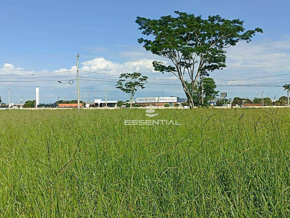 Terreno, 1000 m² - Foto 1