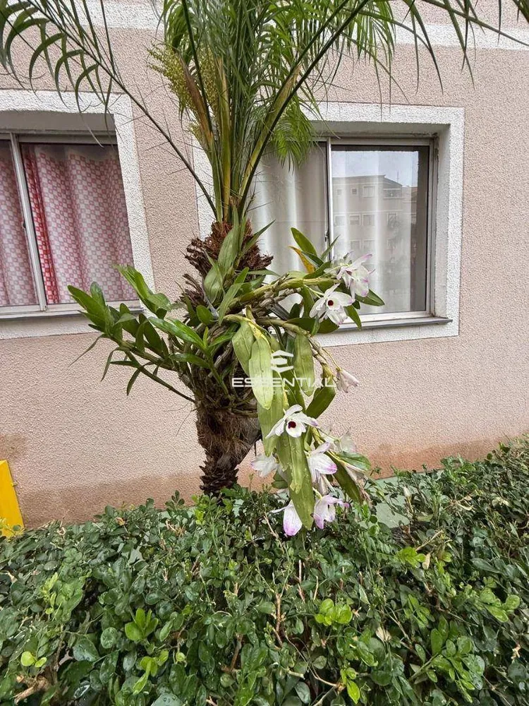 Apartamento, 3 quartos, 58 m² - Foto 10