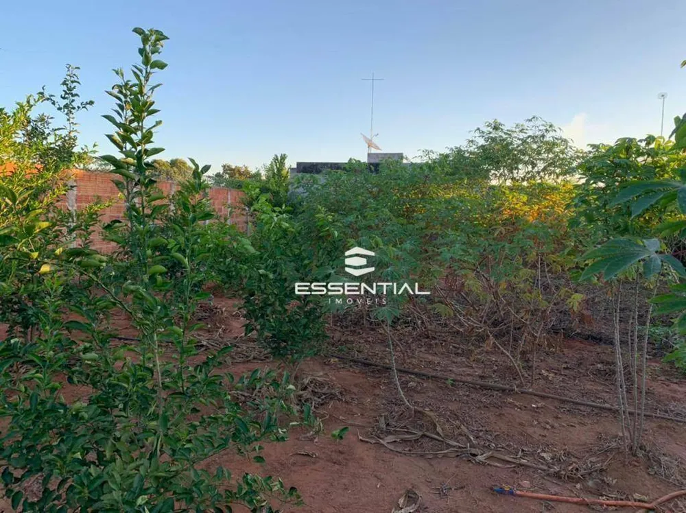 Terreno, 1000 m² - Foto 4