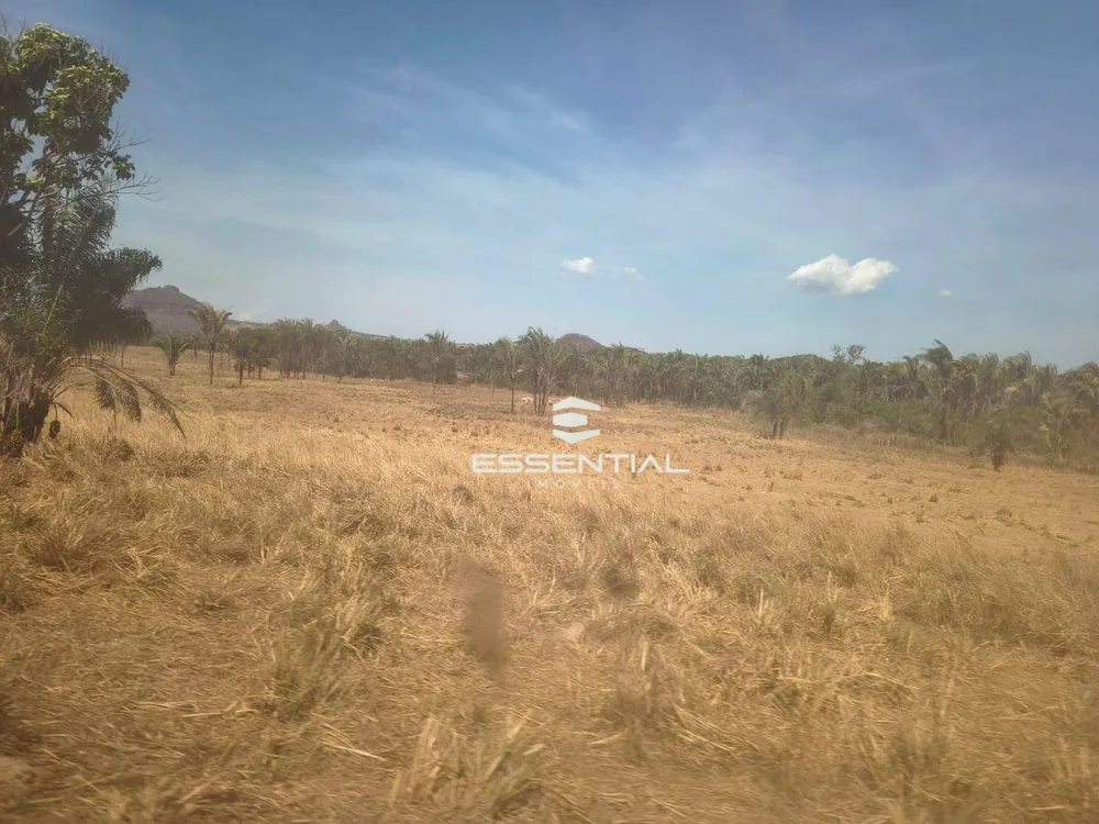 Fazenda, 2500 hectares - Foto 8