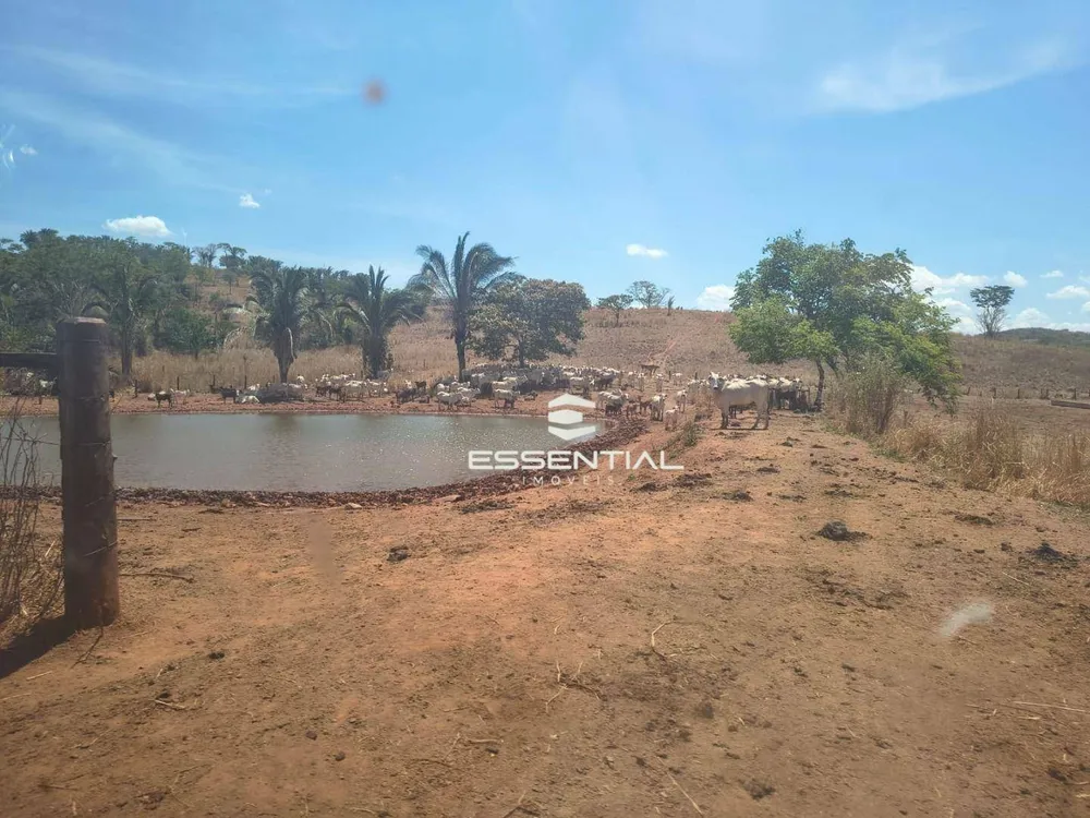 Fazenda, 2500 hectares - Foto 1