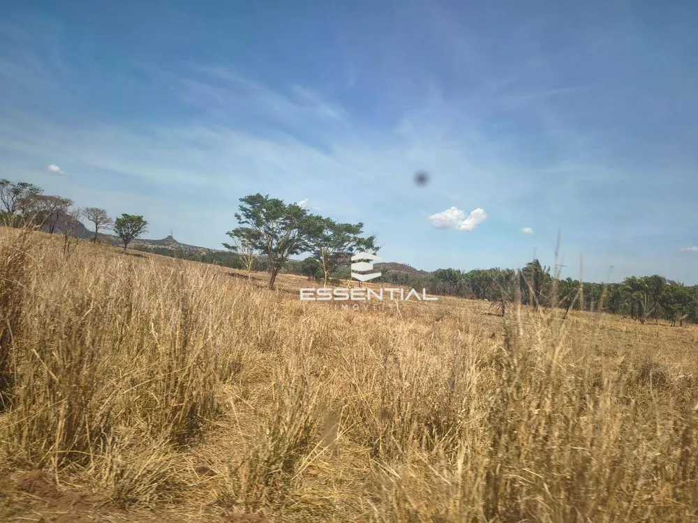 Fazenda, 2500 hectares - Foto 8