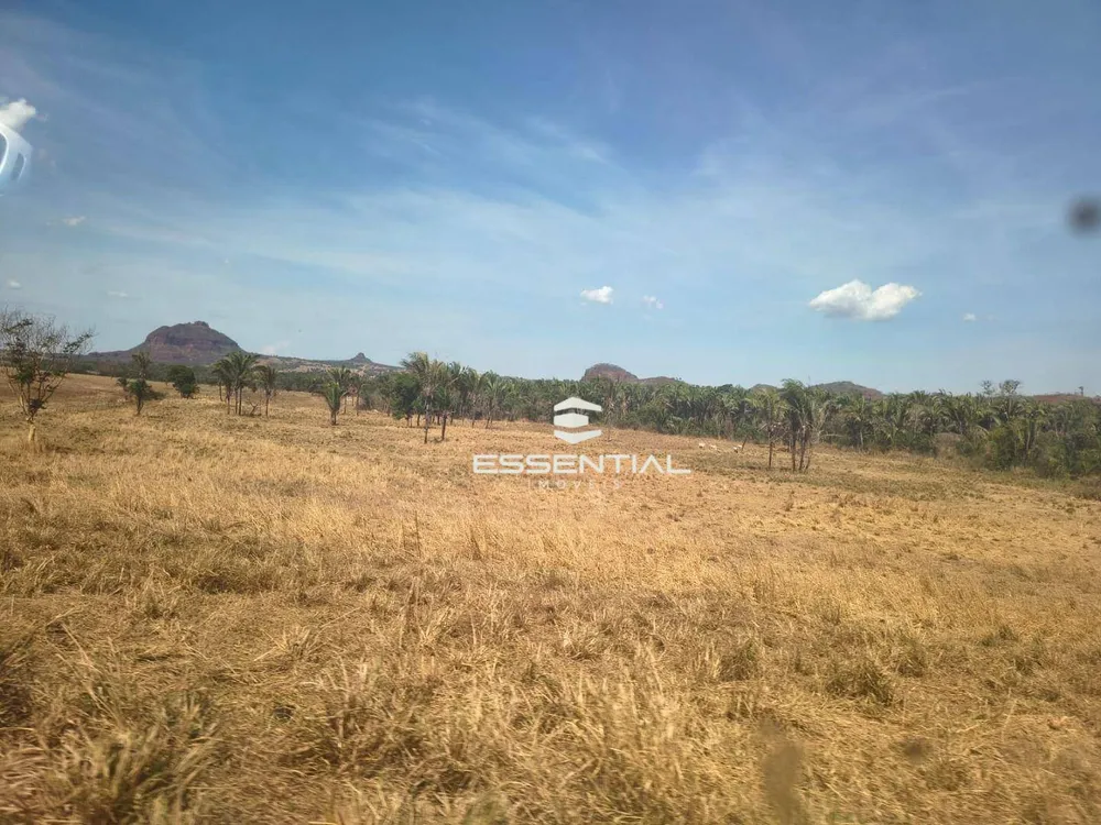 Fazenda, 2500 hectares - Foto 7