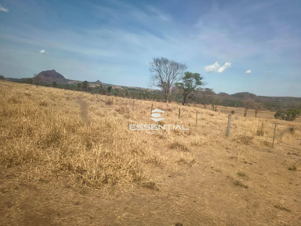 Fazenda, 2500 hectares - Foto 7